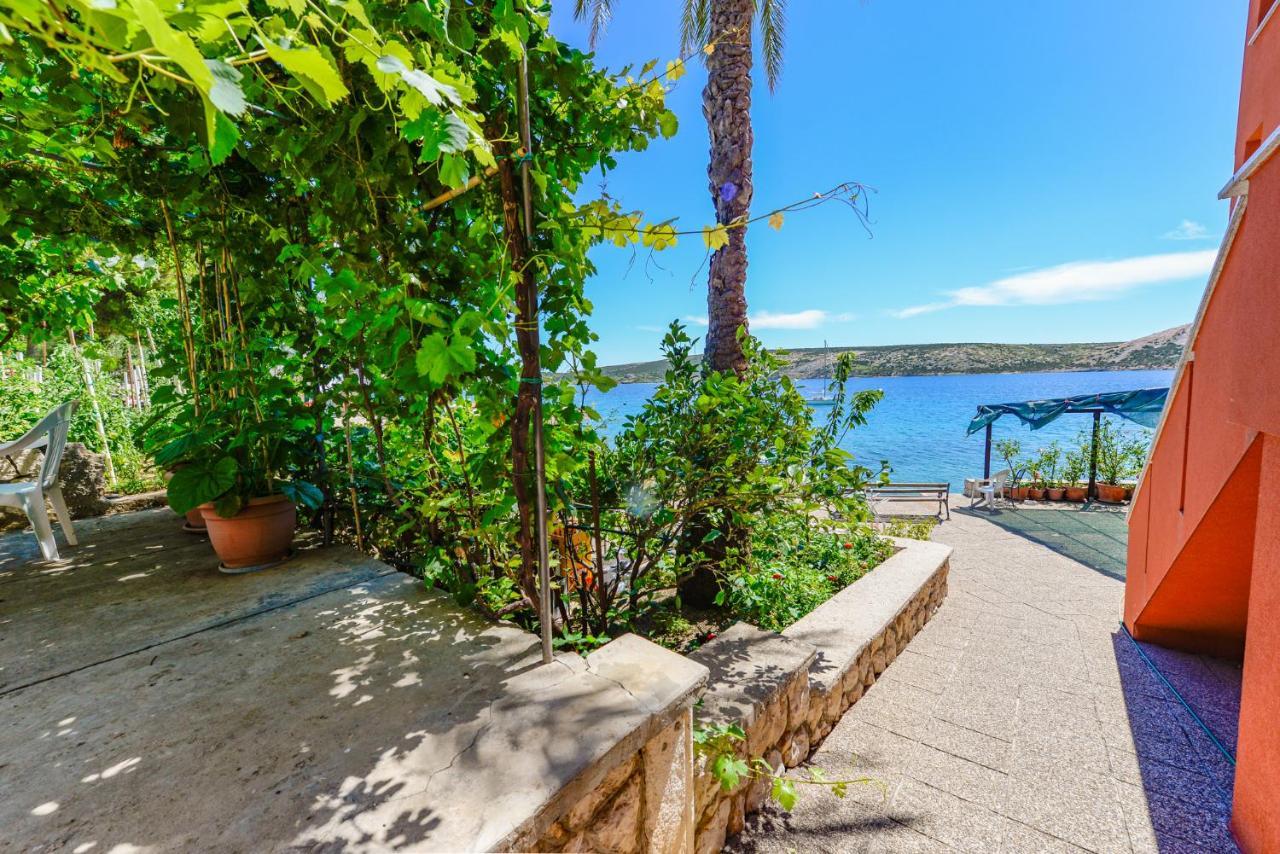 Apartments Amfora - Cozy And Modern Apartments For Up To 15 People, 100M From The Sea And Beach Stara Novalja Buitenkant foto